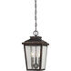 Irvington Manor 3 Light 8.5 inch Chelesa Bronze Outdoor Chain Hung Lantern in Incandescent, Clear Seeded Glass, The Great Outdoors