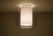 Pahu 1 Light 12 inch Satin Nickel Semi-Flush Mount Ceiling Light in Transparent Smoke/Opal Glass, Incandescent