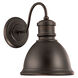Outdoor 1 Light 13 inch Old Bronze Outdoor Wall Lantern