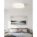 Acryluxe Collection - Classic Family 6 Light 30 inch Brushed Nickel and Opal Flush-Mount Ceiling Light in 30" D x 30" W x 7.5" H, EVOLV