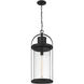 Roundhouse 1 Light 12 inch Black Outdoor Chain Mount Ceiling Fixture