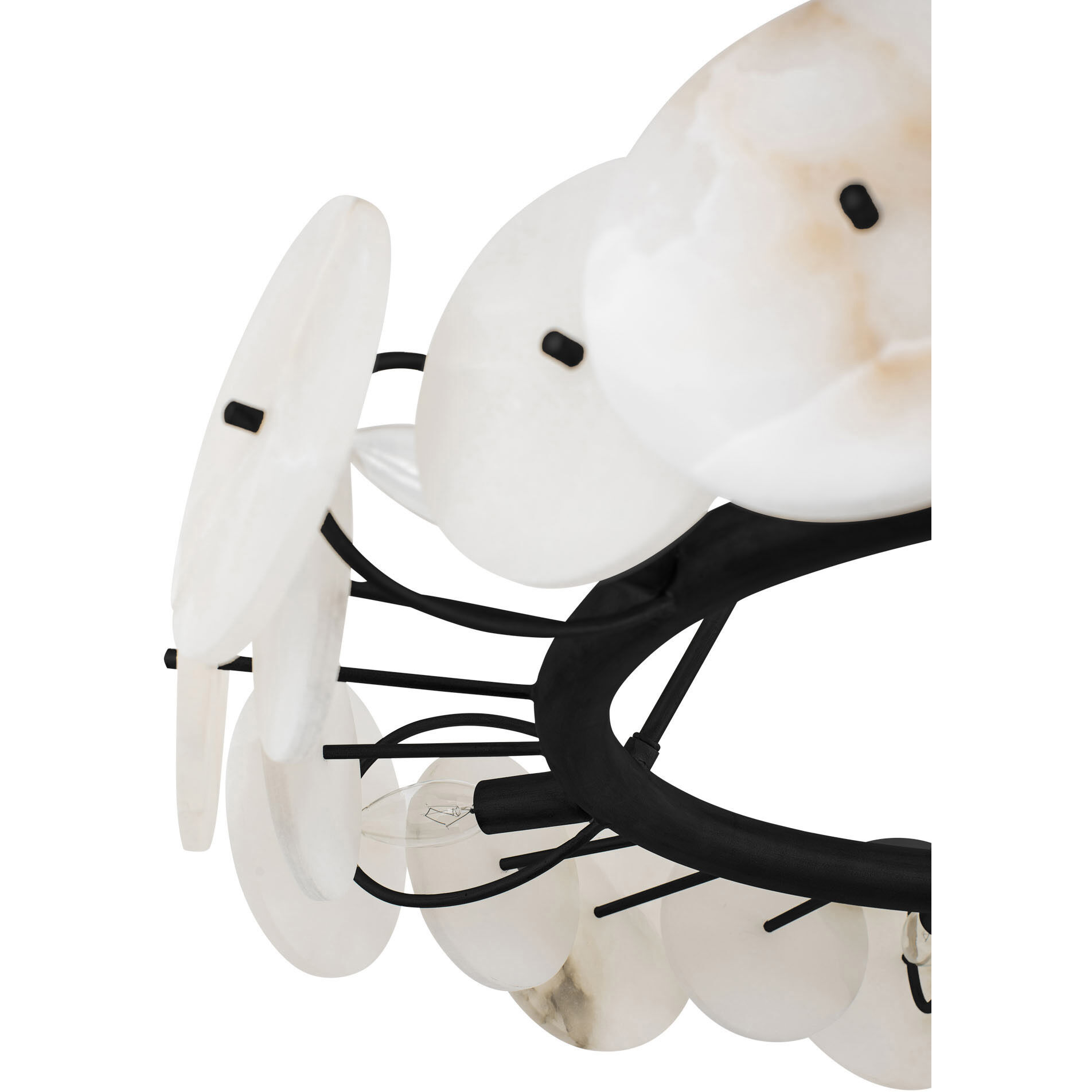 Cosmos 6 Light 30 inch Matte Black Chandelier Ceiling Light, Smithsonian Collaboration