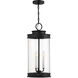 Englewood 3 Light 10.5 inch Black Outdoor Hanging Lantern