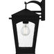 Huck 1 Light 13.25 inch Earth Black Outdoor Wall Lantern, Medium