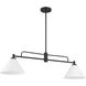 Transitional 2 Light 10 inch Matte Black Chandelier Ceiling Light
