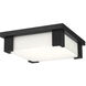 Thornhill LED 11.5 inch Black Outdoor Flush Mount