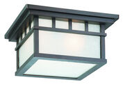 Outdoor Ceiling Lights