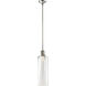 Zigrina 1 Light 5.88 inch Polished Nickel Pendant Ceiling Light