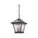 Aiken 2 Light 9 inch Black Coral Exterior Hanging Lantern