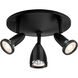 Cobra LED 10 inch Black Flush Mount Ceiling Light