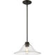 Annora 1 Light 14 inch Olde Bronze Pendant Ceiling Light