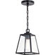 Grant LED 7 inch Black Mini Pendant Ceiling Light in Matte Black