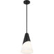 Tori 1 Light 9 inch Matte Black Mini Pendant Ceiling Light