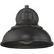 Dunston DS Outdoor Wall Lantern