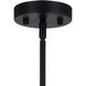 Rad 4 Light 23.5 inch Black and Satin Nickel Pendant Ceiling Light