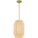 Caviana 1 Light 10 inch Signature Brass Pendant Ceiling Light