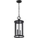 Broadstone 2 Light 8.63 inch Matte Black Outdoor Hanging Light