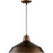 Fort Worth 1 Light 16 inch Oiled Bronze Pendant Ceiling Light