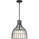 Evensong LED 12 inch Matte Black Pendant Ceiling Light