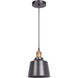 Bejamin 1 Light 7 inch Matte Black/Patina Aged Brass Mini Pendant Ceiling Light in Matte Black and Patina Aged Brass