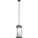 Toman 1 Light 10 inch Olde Bronze Outdoor Hanging Pendant in Incandescent