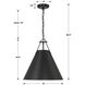 Xavier Pendant Ceiling Light in Matte Black