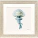 Coastal Bliss Green and Blue Framed Art, Propac
