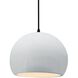 Radiance LED 10 inch Gloss White and Matte Black Pendant Ceiling Light