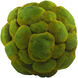 Moss Sphere Moss Green Filler, Medium