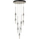 Lilium 9 Light 20.5 inch Sterling Multi-Light Pendant Ceiling Light