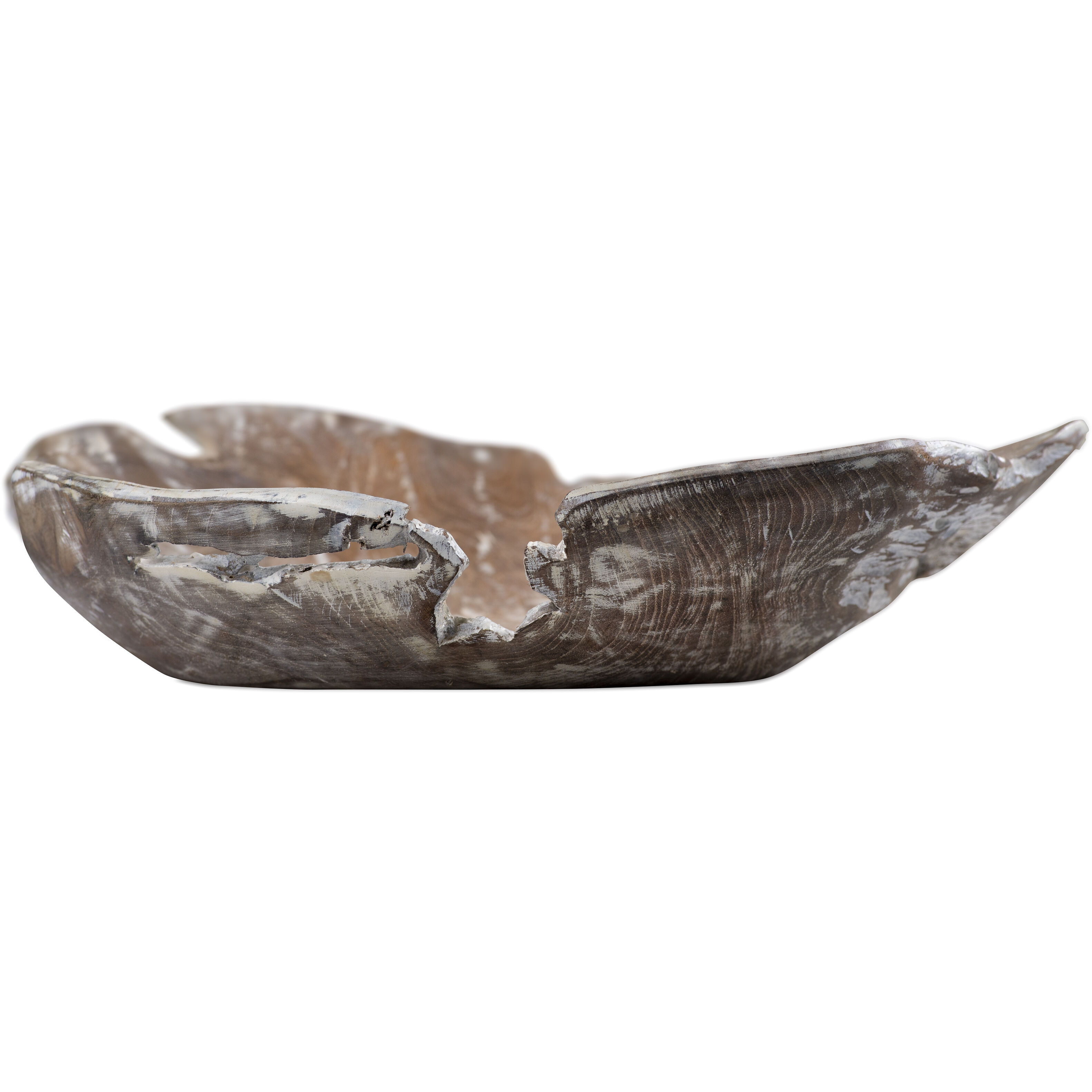 Charbin 15.5 X 4.5 inch Bowl