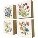 Floral Snapshot Multi and Green and Blue and Red Wall Sculpture, The Studio