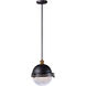 Portside 1 Light 12 inch Oil Rubbed Bronze/Antique Brass Outdoor Pendant