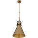 Fenric 1 Light 13.75 inch Legacy Brass and Dark Bronze Pendant Ceiling Light