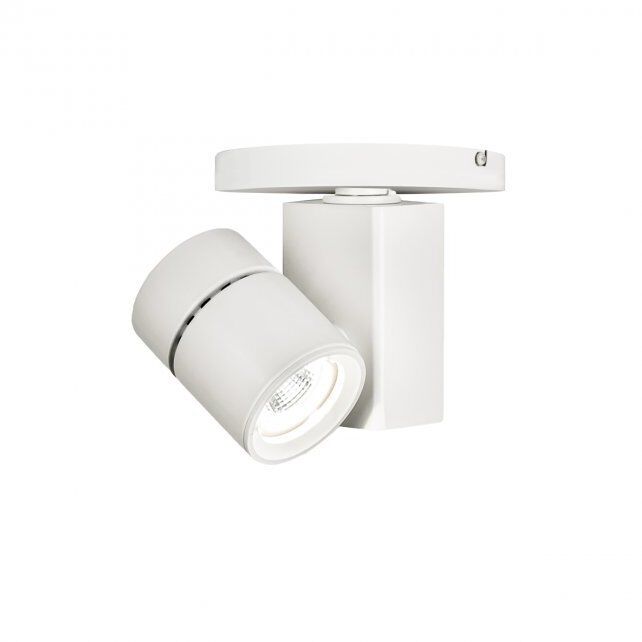 Exterminator II 1 Light 4.50 inch Flush Mount