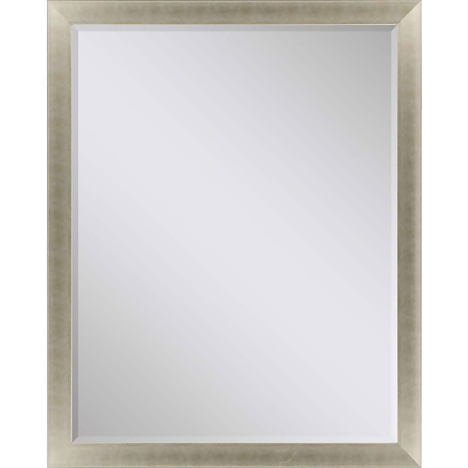 790 Mirror Group 53 X 41 inch Metallic and Neutral Wall Mirror