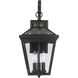 Ellijay Outdoor Wall Lantern in English Bronze