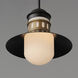 Admiralty 1 Light 12 inch Black and Antique Brass Outdoor Pendant