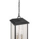Estate 3 Light 8.5 inch Black and Brass Outdoor Pendant