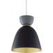 Prismatic 1 Light 9 inch Pendant Ceiling Light