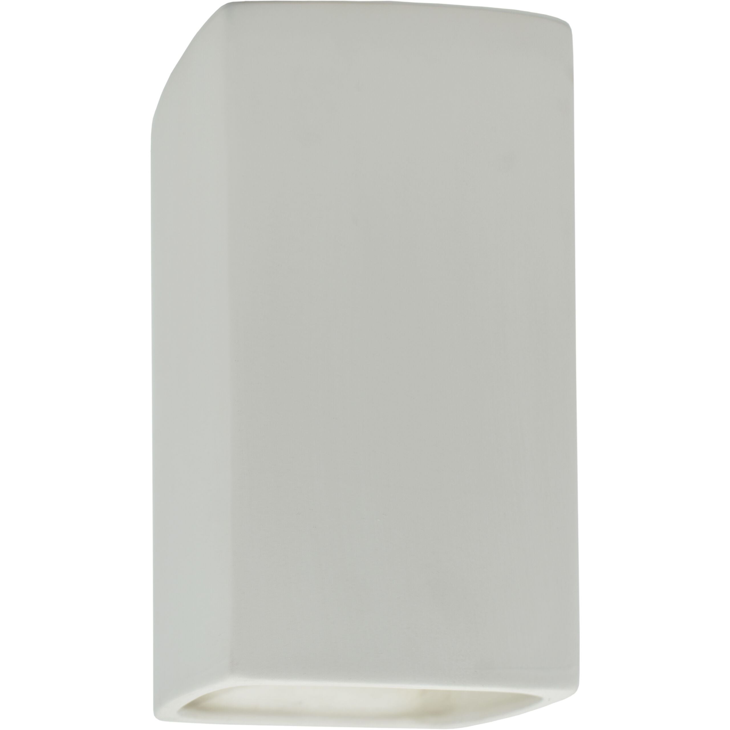 Ambiance LED 9.5 inch Bisque Outdoor Wall Sconce