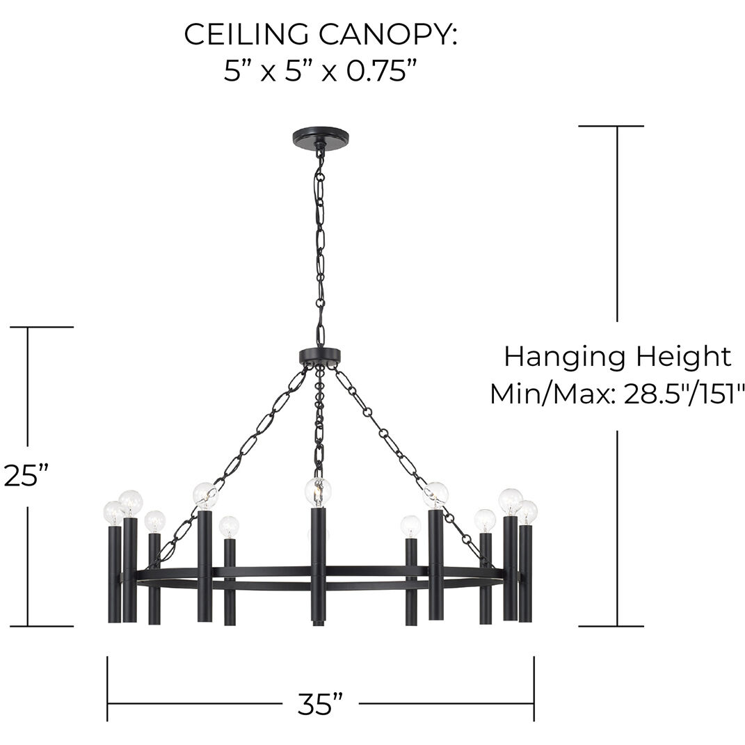 Winton 12 Light 35 inch Matte Black Chandelier Ceiling Light