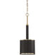 Quinn 1 Light 9.13 inch Satin Brass Mini Pendant Ceiling Light