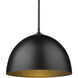 Yep Zoey 1 Light 16 inch Olympic Gold Pendant Ceiling Light in Matte Black, Large