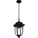 Mulberry 1 Light 9 inch Matte Black Outdoor Hanging Lantern