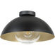 Dyal 1 Light 14.65 inch Black Ceiling Light