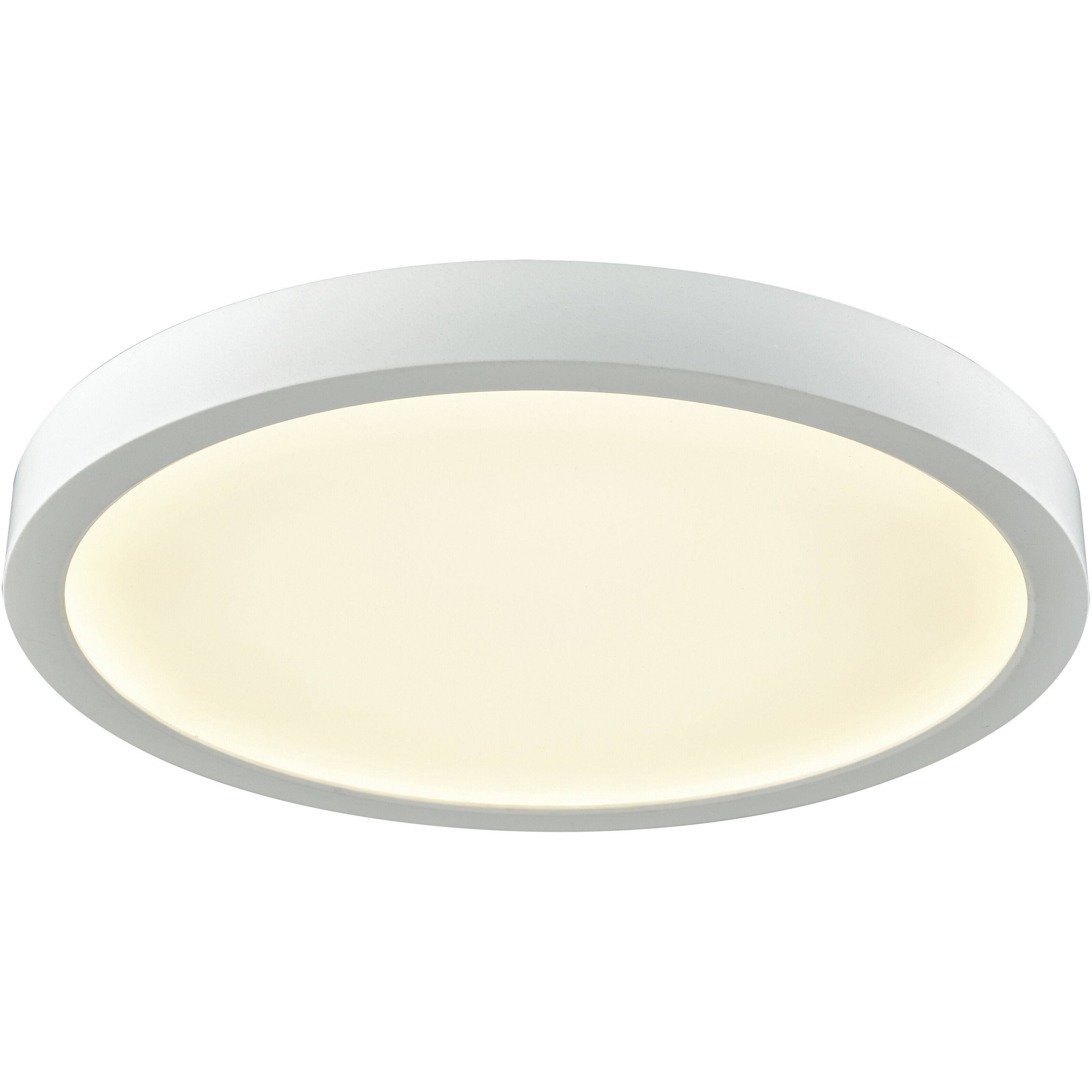 Titan Integrated LED White Down Light