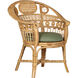 Eugenie Natural and Green and Linho Loden Accent Chair