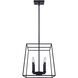 Madison 4 Light 14 inch Black Chandelier Ceiling Light