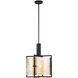 Hayward 3 Light 16 inch Black with Warm Brass Accents Pendant Ceiling Light